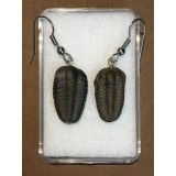 Naušnice z trilobita